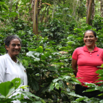 Så ger kaffe och jämställdhet kvinnorna i Nicaragua framtidshopp